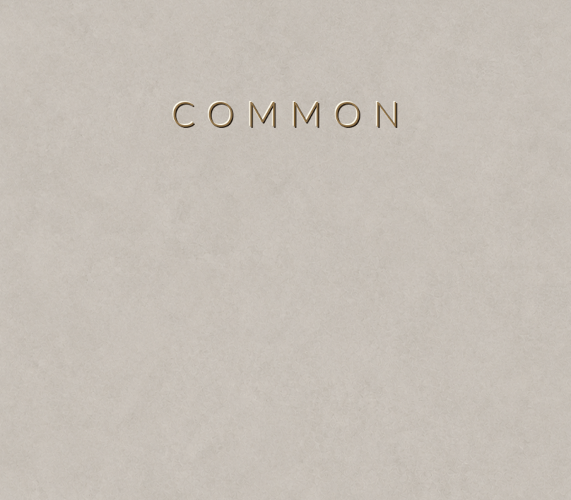 Common mikro beton renk örneği