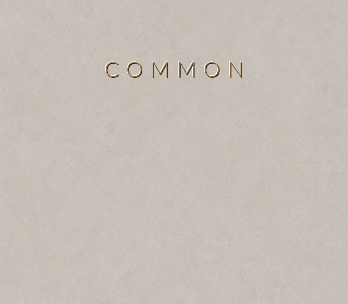 Concretta Common Micro Concrete color sample