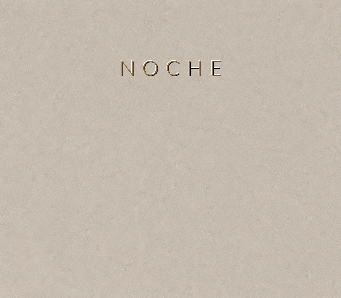 Concretta Noche Micro Concrete color sample