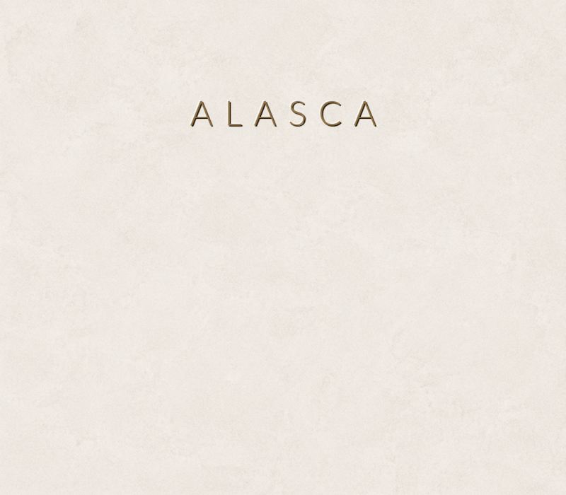 Concretta Alasca Micro Concrete color sample