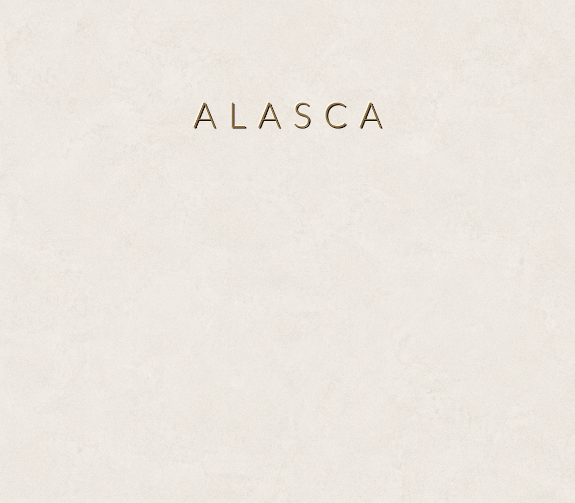 Concretta Alasca Micro Concrete color sample