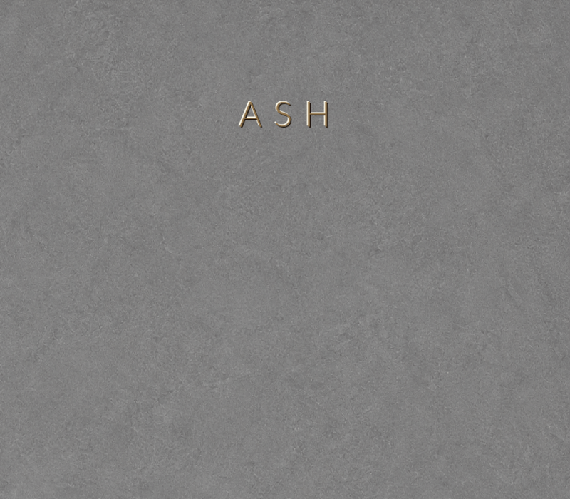 Concretta Ash Micro Concrete color sample
