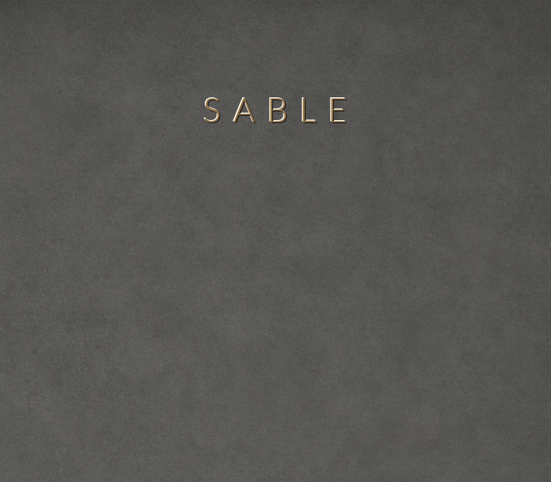 Concretta Sable Micro Concrete color sample