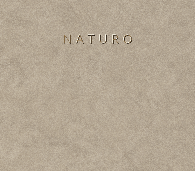 Concretta Naturo Micro Concrete color sample