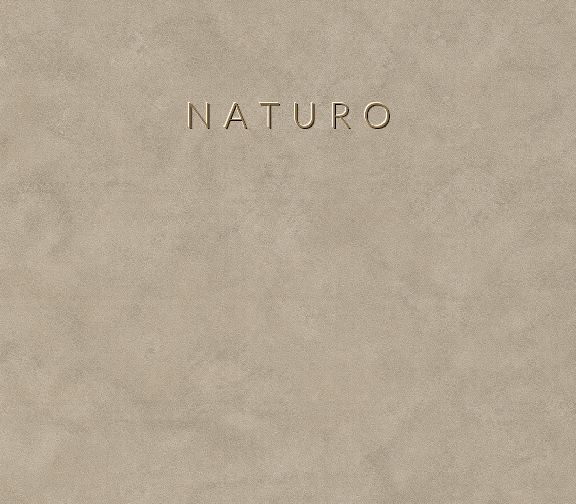 Concretta Naturo Micro Concrete color sample