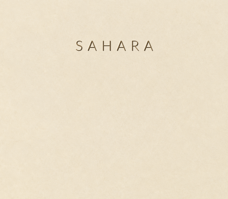 Concretta Sahara Micro Concrete color sample