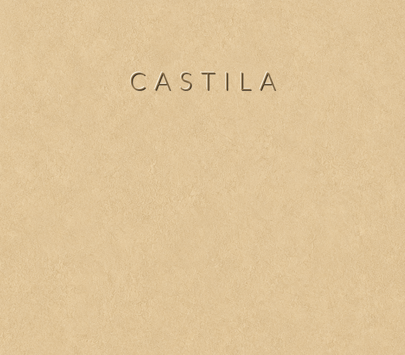 Concretta Castila Micro Concrete color sample