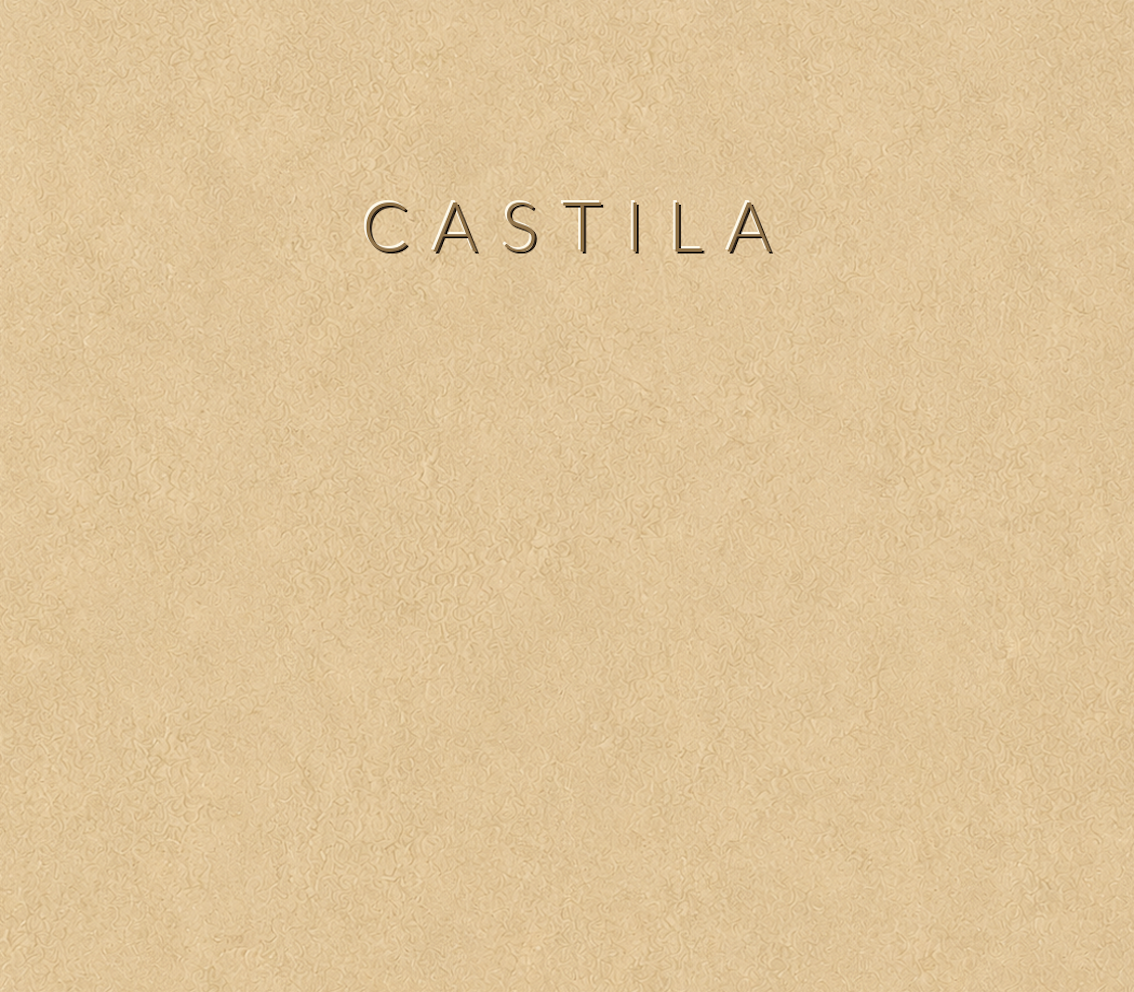 Concretta Castila Micro Concrete color sample