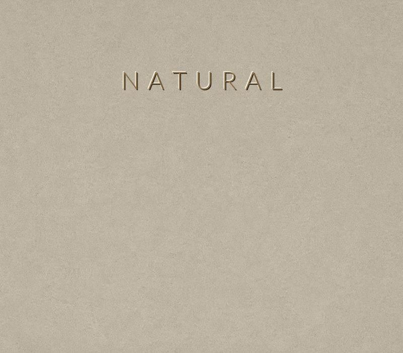 Concretta Natural Micro Concrete color sample