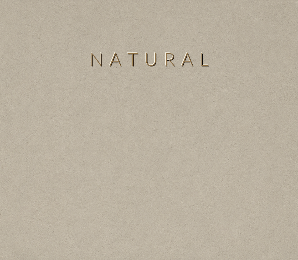 Concretta Natural Micro Concrete color sample