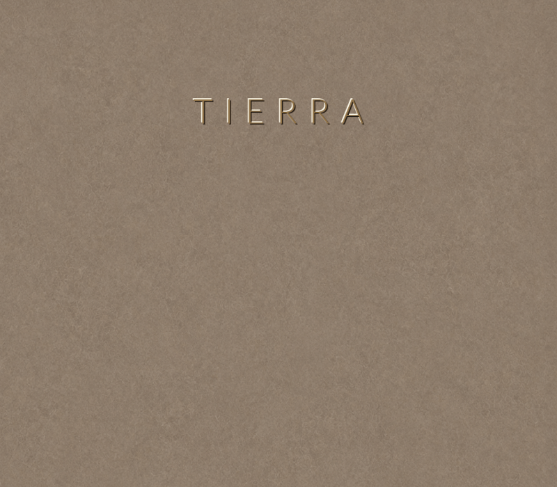 Concretta Tierra Micro Concrete color sample
