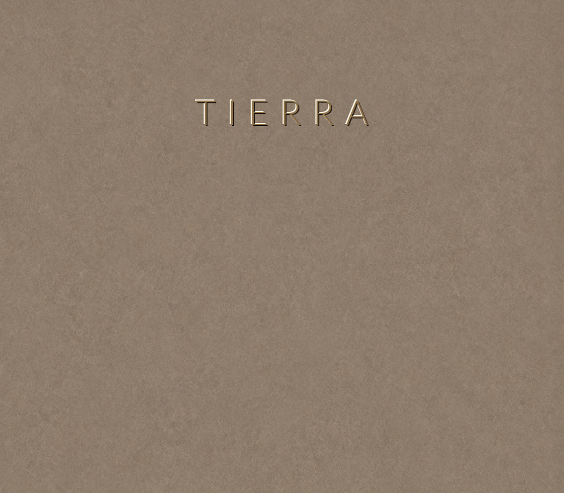 Concretta Tierra Micro Concrete color sample