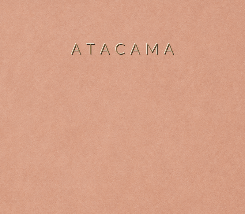 Concretta Atacama Micro Concrete color sample