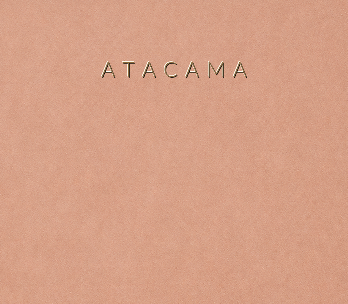 Concretta Atacama Micro Concrete color sample