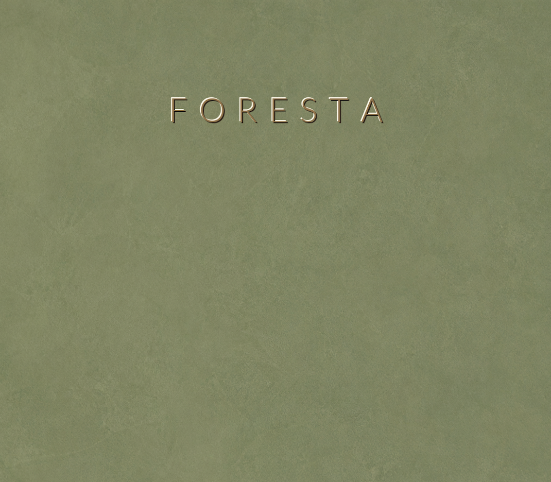 Concretta Foresta Micro Concrete color sample