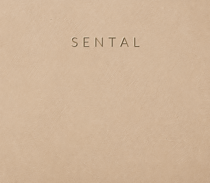 Concretta Sental Micro Concrete color sample