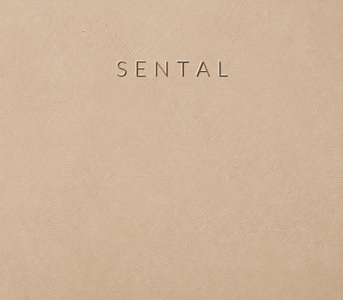 Concretta Sental Micro Concrete color sample