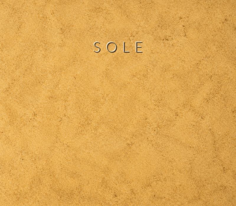 Concretta Sole Micro Concrete color sample