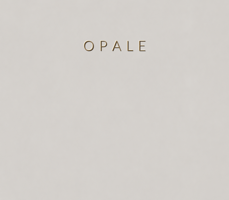 Concretta Opale Micro Concrete color sample