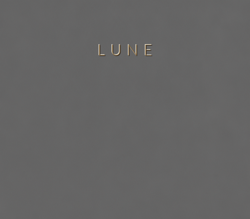 Concretta Lune Micro Concrete color sample